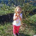 Panczel Eszter -