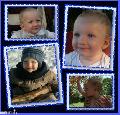 Mlykti Dvid -
